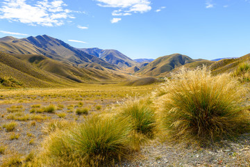 New Zealand Landscape