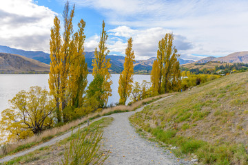New Zealand Landscape