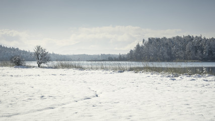 Osterseen witner scenery