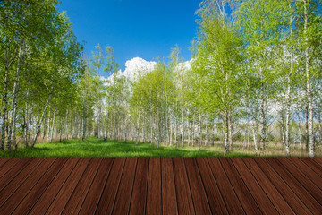 Empty wooden table with landscape background