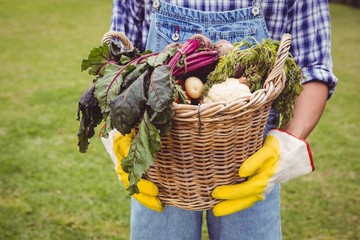 Man holding a basket of freshly harvested vegetables