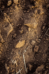 Ploughed field, soil close up, agricultural background