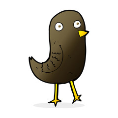 funny cartoon bird