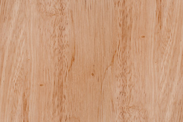 Texture of wood background closeup