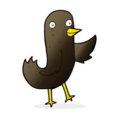 funny cartoon bird