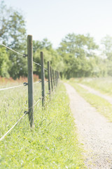Nature trail for hiking in Sweden