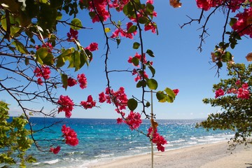 Sumilon Island - Filippine - Cebu 