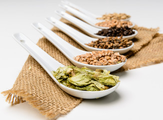 Ingredienti per la birra