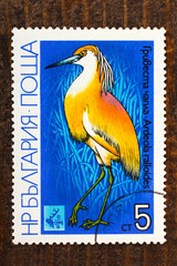 Yellow Heron (Ardeola ralloides), postage stamp, Bulgaria, 1981 on brown wooden table closeup