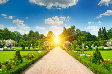 summer park with beautiful flowerbeds