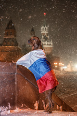 Obraz na płótnie Canvas Dog Rhodesian Ridgeback and a Russian flag 