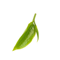 green tea leaf isolated on white background