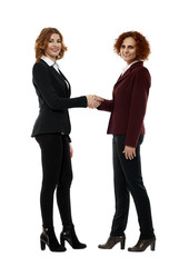 Partnership agreement, handshake