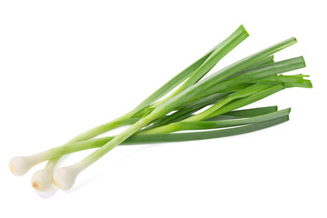 Allium porrum on white background