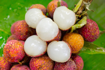Lychee01
