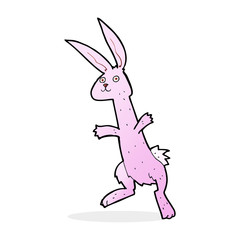 cartoon rabbit