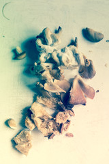 minimal mushrooms set on white background, filtered