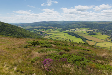 Fototapeta premium Somerset countryside near Porlock West England uk 