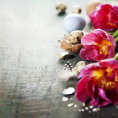 Easter composition with tulips