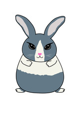 Fototapeta premium blue dutch rabbit