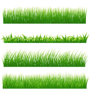 Green grass borders set on white. Vector illustration