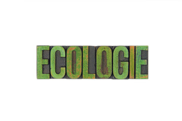 Ecologie / caracteres d'imprimerie en bois 