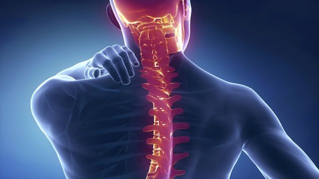 Spine injury pain in sacral and cervical region concept