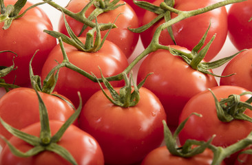 photo of very fresh tomatoes presented on white background