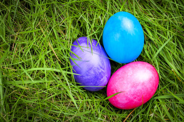 Easter eggs deep into green grass