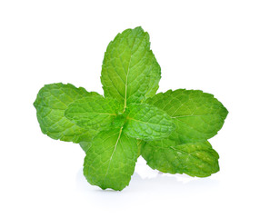 mint on white background