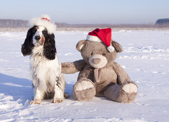 Spaniel with the Teddy bear in the snow