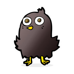funny cartoon bird