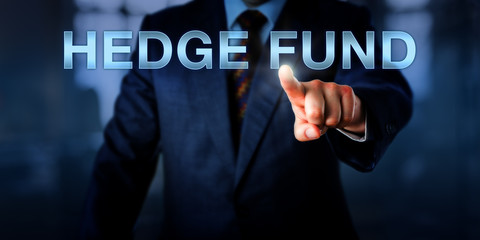 Portfolio Manager Pointing At HEDGE FUND