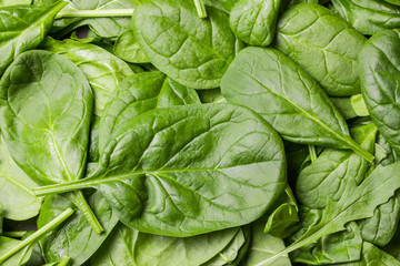 Fresh green baby spinach leaves.