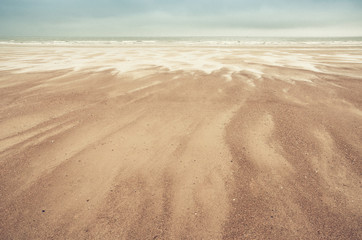 Fototapeta na wymiar sand dunes on North Sea