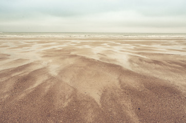 dunes de sable sur la mer du Nord