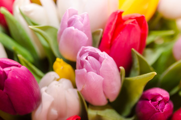 Obraz na płótnie Canvas Bouquet of ..multicolored tulips
