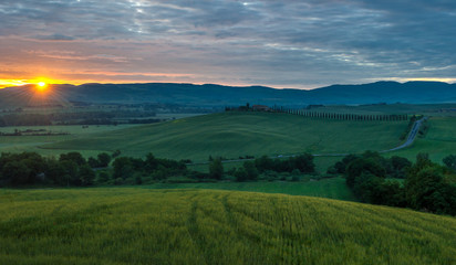 Fototapeta premium typical tuscan landscape