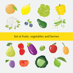 Set of different fruits, vegetables and berries