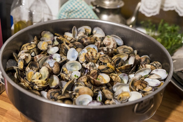 Ready for the unforgettable spaghetti / Close-up of typical italians clams