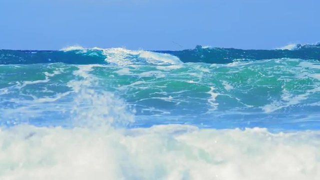 Professional kite surfer maneuvers among rough waves on sea. Summer watersports