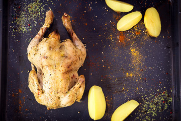 Roasted Beautiful Chicken with Spices and Potatoes on Gray Background, Top-View