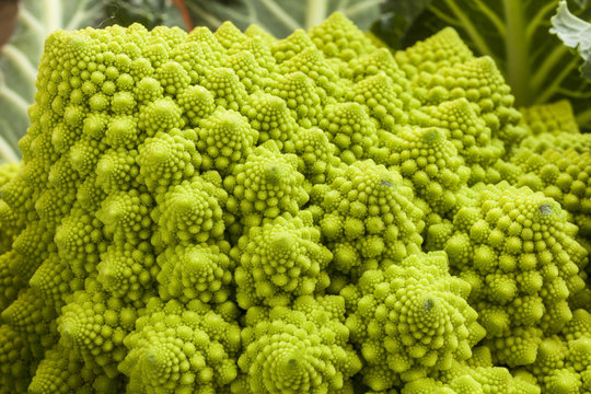 Broccolo romanesco, ortaggio con struttura frattale