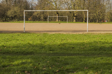 Soccer Field With Dogs
