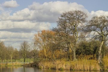 Fototapeta na wymiar Clapham Common pond and park in London
