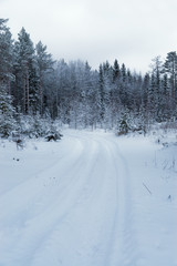 Winter landscape with small snowy country road in forest, Finland.