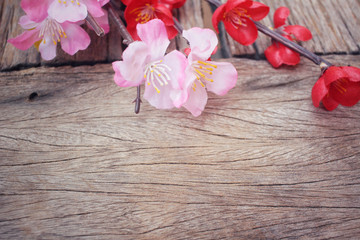 Beautiful sakura of artificial flowers