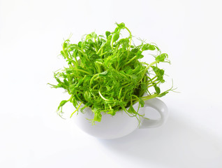 Green pea sprouts