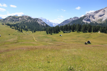 Prato Piazza - Trentino Alto Adige
