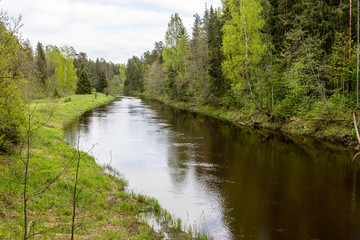 Summer river with reflections